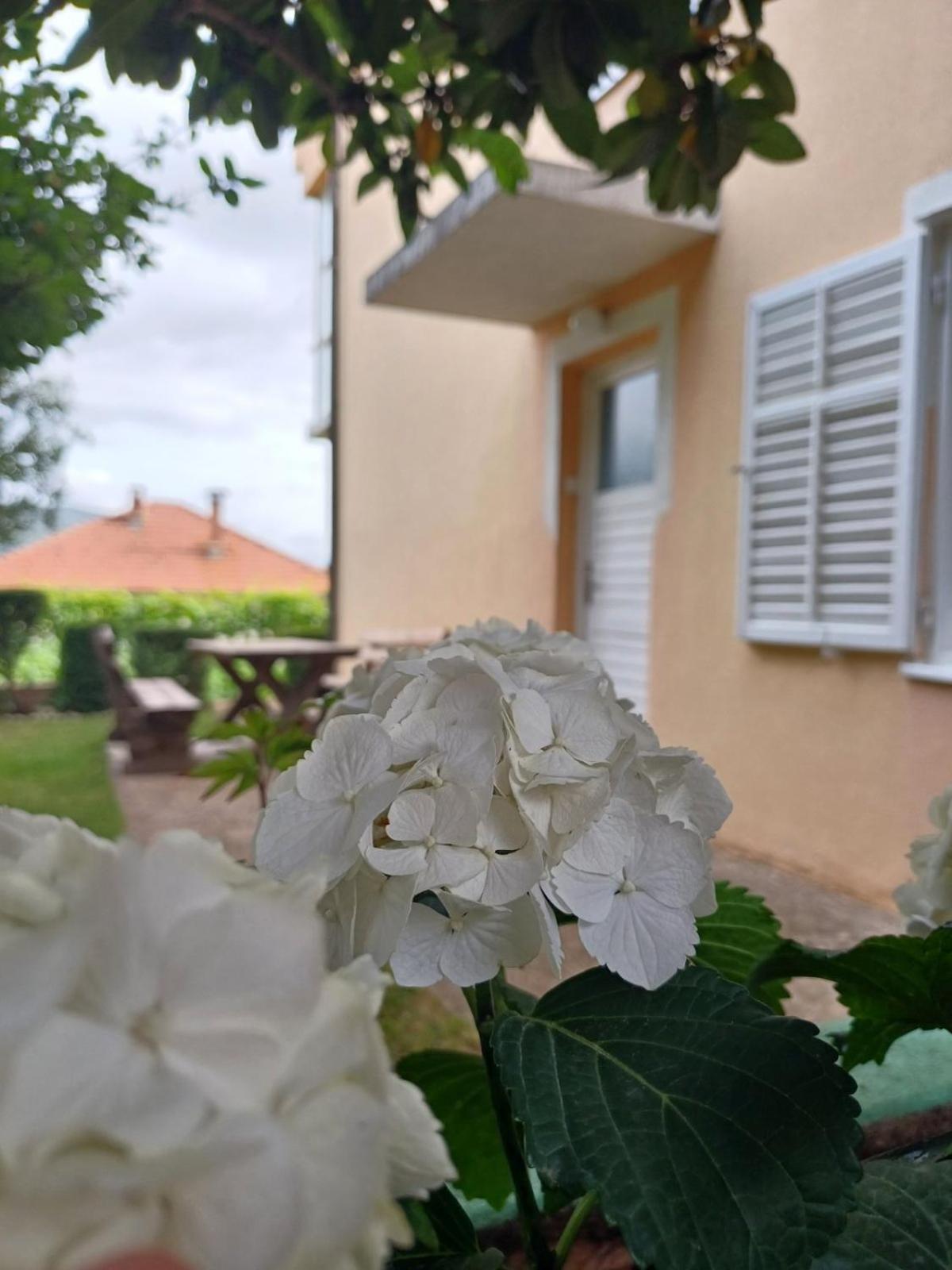 Apartments For Friends تريبينيي المظهر الخارجي الصورة