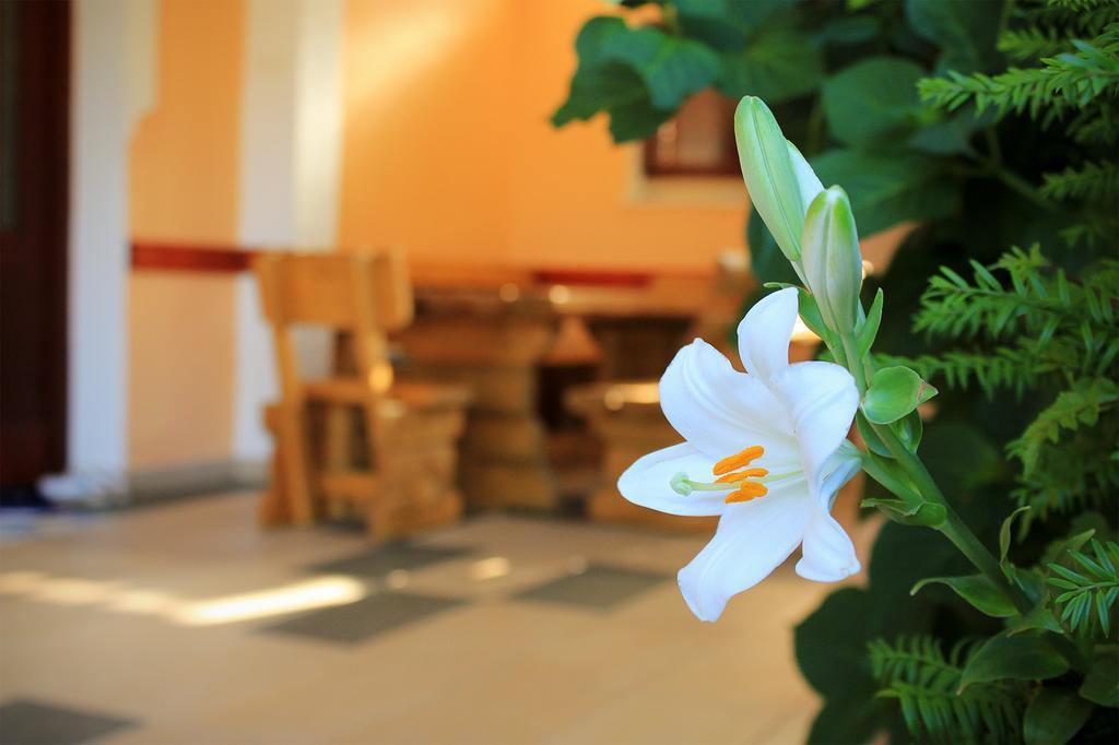 Apartments For Friends تريبينيي المظهر الخارجي الصورة